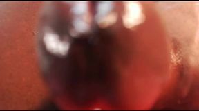 Tyson Mavs Private Show