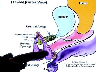 SQUIRTING TUTORIAL two !!! Mr PussyLicking