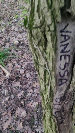 😓LaSaison reprend Mon Lieux d'Exhib est infesté de Putes en claquettes. Brunoy parking Napoleon