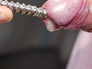 Lil Will - Closeup Ribbed Stainless Sounding