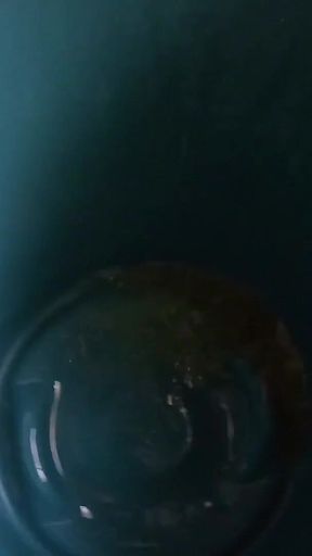 BBW Goddess Pee Bucket