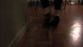 Slave peeks at My Feet under a table