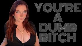 You're a Dumb Bitch - Homewreck Mind Fuck Captivate Goddess Worship Beta Loser Verbal Humiliation Degradation