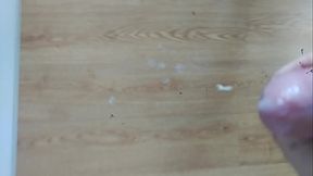 Paja ma&ntilde_anera