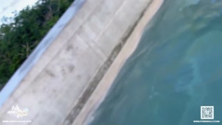 Poolside Creampie with Underwater Blowjob on Vacation - Horny Hiking ft. Molly Pills - POV 4K