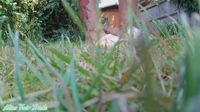 Tiny POV – Hiding in the Garden