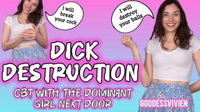 Dick Destruction CBT with the Dominant Girl Next Door Vivien Vee CBT Instructions and Tasks

The adorable and giggling Goddess Vivien is excited t