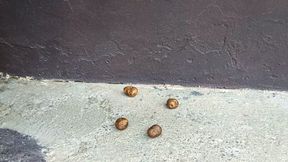 With flip-flops I crush, trample, trample and grind everything (3)