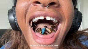 Found In The Mix | Giantess Vore Fantasy with Temptress Mango