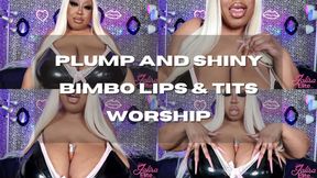 Plump and Shiny Bimbo Lips and Tits