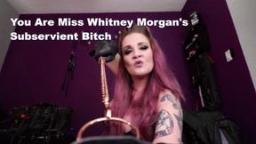 You Are Miss Whitney Morgan's Subservient Bitch - mp4