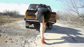 Fucking car WMV (1280x720) FHD