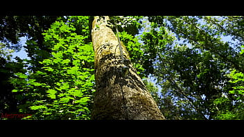 Mesmeriza demo 12 Island of Oblivion