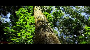 Mesmeriza demo 12 Island of Oblivion