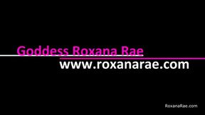 Roxy's New BBC