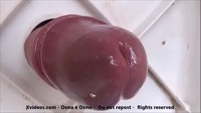 O verdadeiro morango do amor