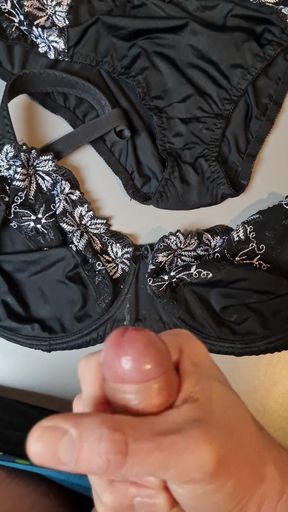 My wifes new lingerie is approved