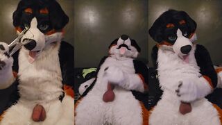 AngryBarks enjoys Neutering with a Band of Elastrators in HD