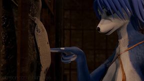 Krystal fox test video
