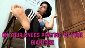 get down on your knees before your giantess goddess to worship her