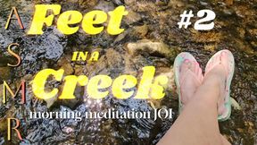Feet in a Creek: Morning Meditation ASMR JOI Timer #2 | Relaxing Femdom Foot Worship with Cum Countdown | Painted Toes in Flip Flops Outdoors