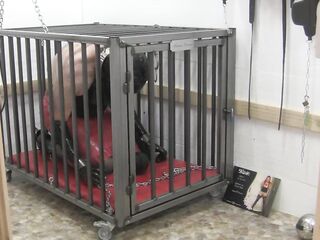 The serf in her cage