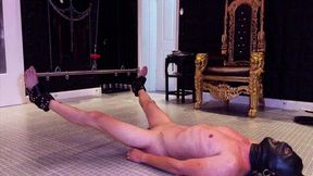 Whip as the slave hangs in the air