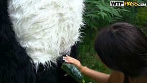Molly is fucked by a horny panda right in the woods