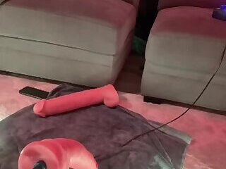 Viniveexxiera live show