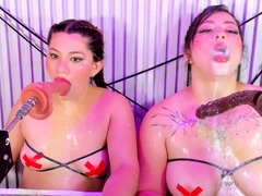 Fetish lesbians toy ass and pussy with plug and vibrator
