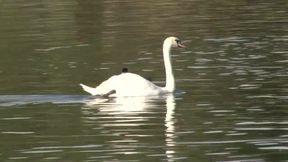 Blonde fetish girl screwed by two guys