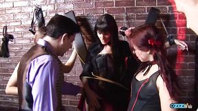 Good looking chicks get their wet cunts pounded in group sex
