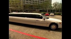 A Spicy Threesome Fuck in a Limousine for Lena