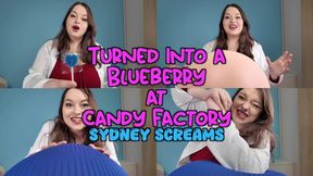 Turned into a Blueberry at Candy Factory - You Try a Special Full Course Dinner Lollipop from Sydney Screams and Expand into a Giant Blueberry Ready for Juicing - POV Blueberry Inflation, Blueberry Expansion, Wonka Parody - HD 720 WMV