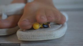 Tiny Slave caught between my nylon stinky foot and sandal while trampling his face as giantess 4k