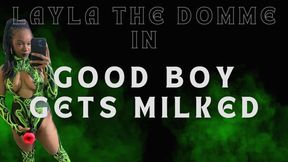 Good Boy Gets Milked