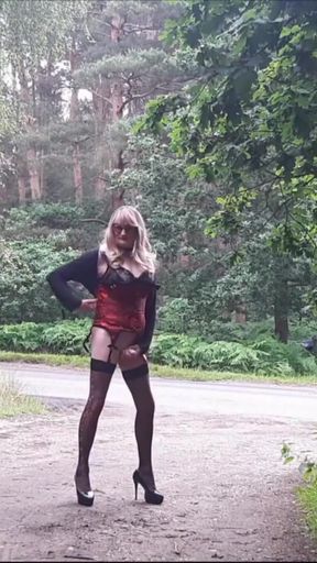 Thrilling moment from &quot;Tranny Stripping by the Roadside&quot;