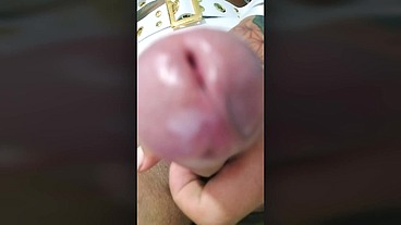 TS Angelique Monroe - Suck my ladydick, fucking slave!