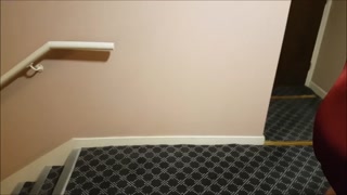 College Girl Loves Risky Hotel Hallway Fucking Christmas Special