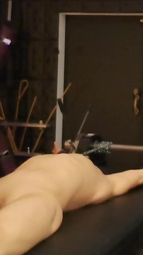 The Slave Gets Electrified