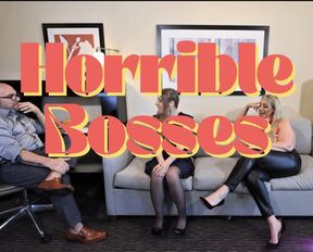 HORRIBLE BOSSES