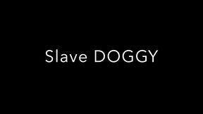 2640 sltu puppy fucked raw by viktor rom