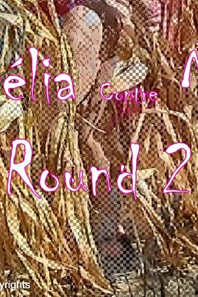 Nothing Better Than an Outing in the Countryside in Corn Field to Do Yourself Good