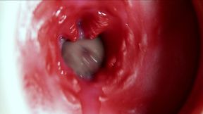 Big orgasm inside the anus! Fantastic moaning orgasm and a lot of sperm!