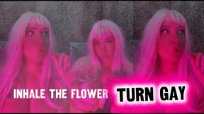 inhale flower turn gay