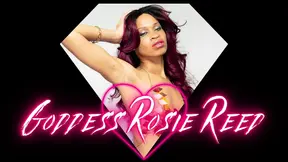 Giantess Little Man Leg Worship- Ebony Giantess Goddess Rosie Reed Little Man Leg Worship POV with Cum Eating Instruction