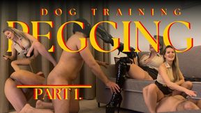 Dog training pegging part 1