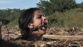 Shocked babe gets down and dirty with fake boobs
