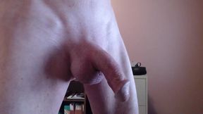 April Fool by Cockshowy