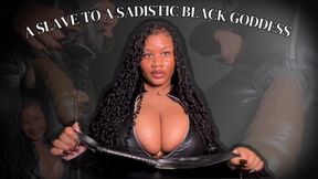 Whiteboi Humiliation